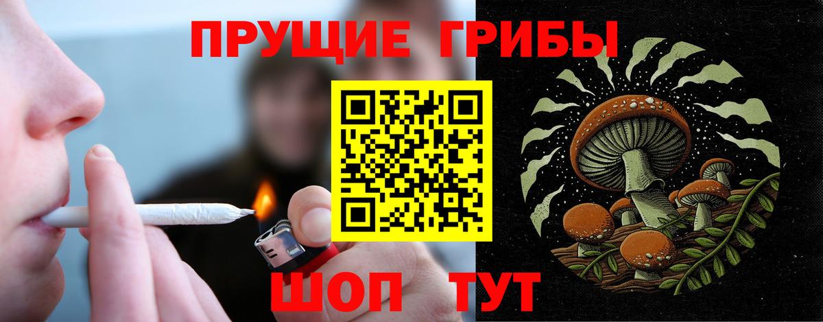 Псилоцибиновые грибы MAGIC MUSHROOMS  Галлюциногенные грибы GOLDEN TEACHER  Псков  Вход с VPN 